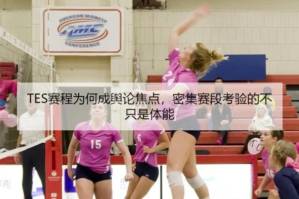 TES赛程为何成舆论焦点，密集赛段考验的不只是体能 - leyu